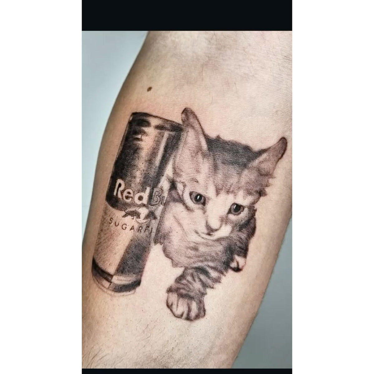 Cat and Soda Temporary Tattoo