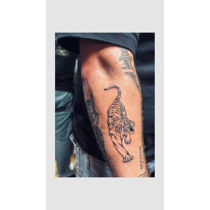 Tiger Temporary Tattoo – Bold Big Cat Design