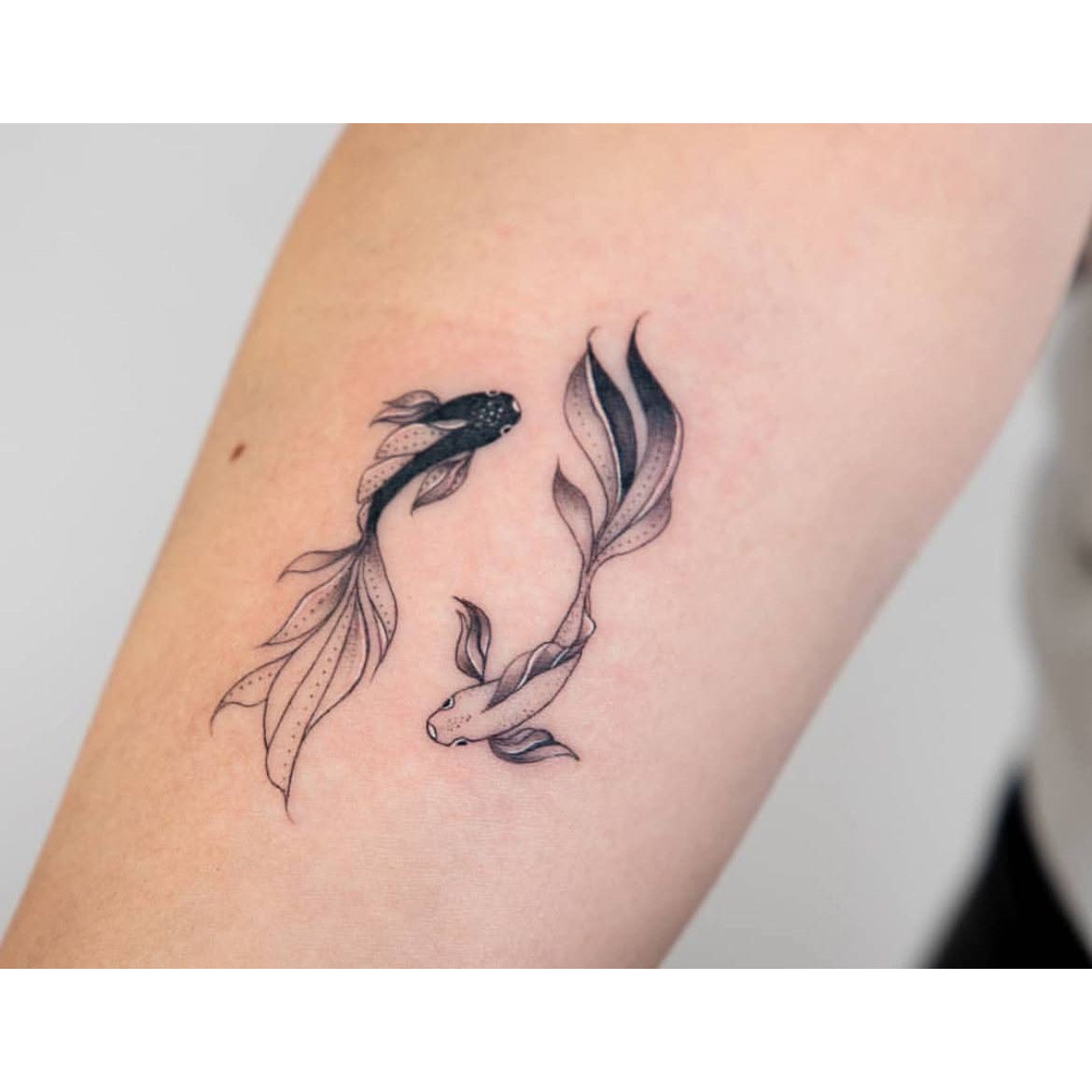 Twin Koi Design Temporary Tattoo