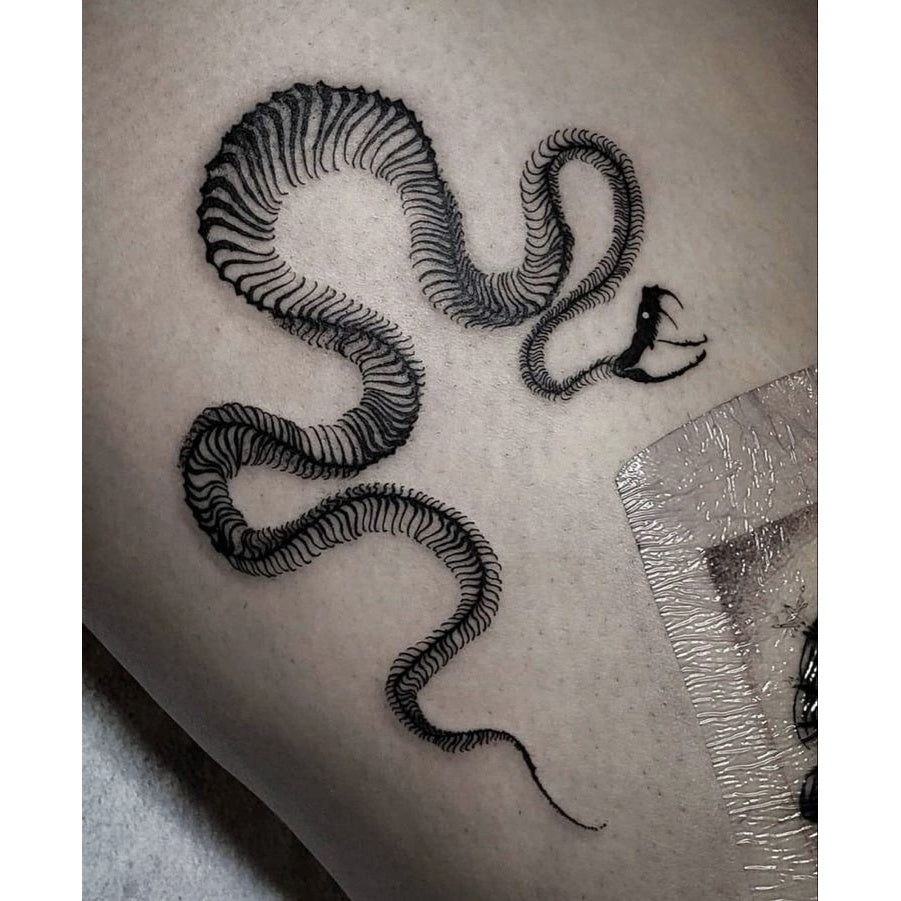 Coiled Snake Temporary Tattoo