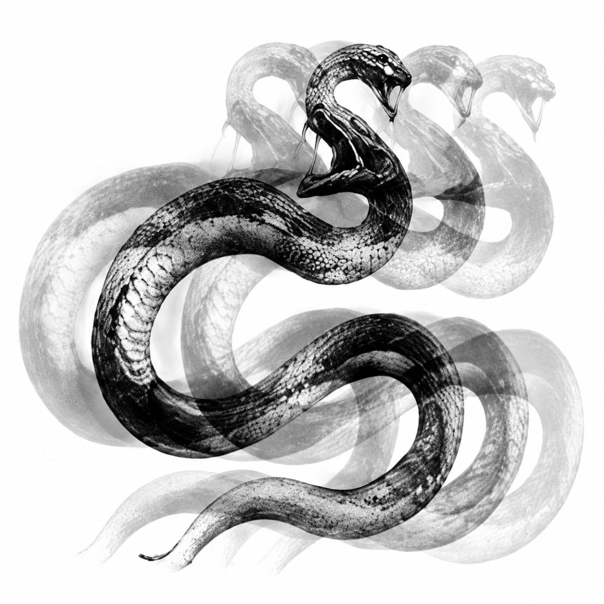 Double Vision Snake Graphic Temporary Tattoo
